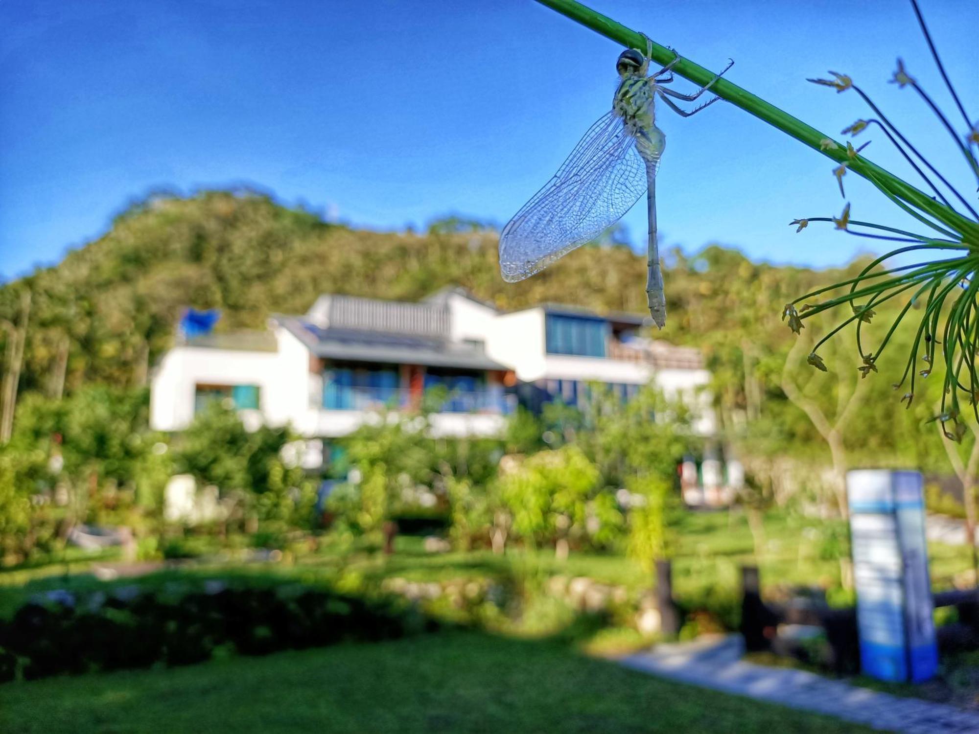 Roaming Cloud Sun Moon Lake B&B Yuchi Eksteriør bilde